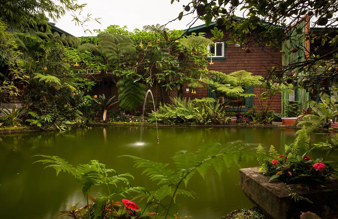 Chalet Kilauea-1
