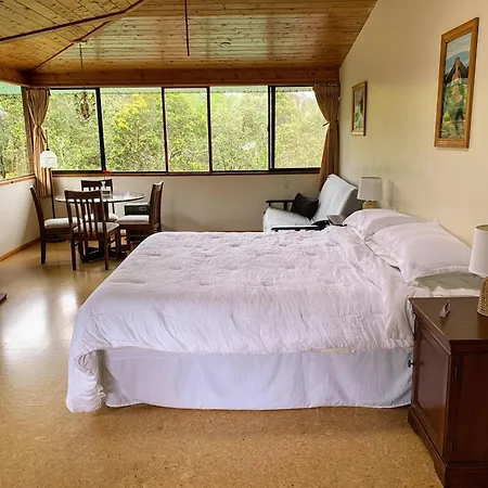 Volcano Inn Bed N Breakfast-2